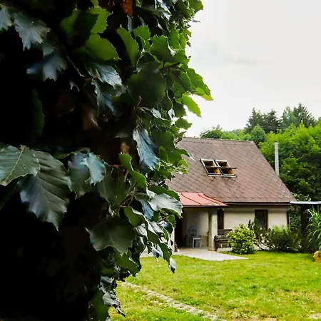 Chaloupka Zdarky Villa Exterior photo